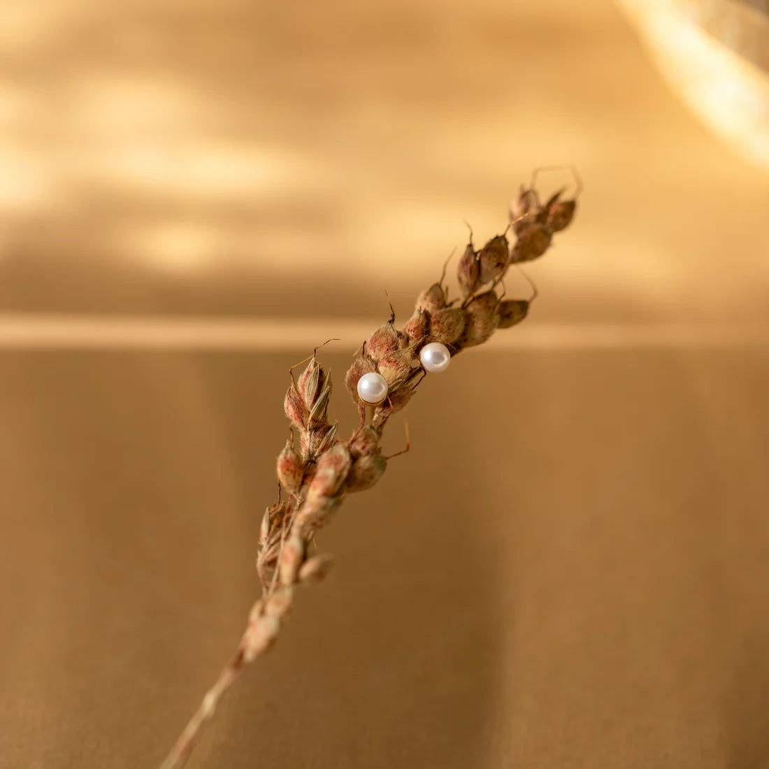 Brincos delicados de pérolas em ouro 18K