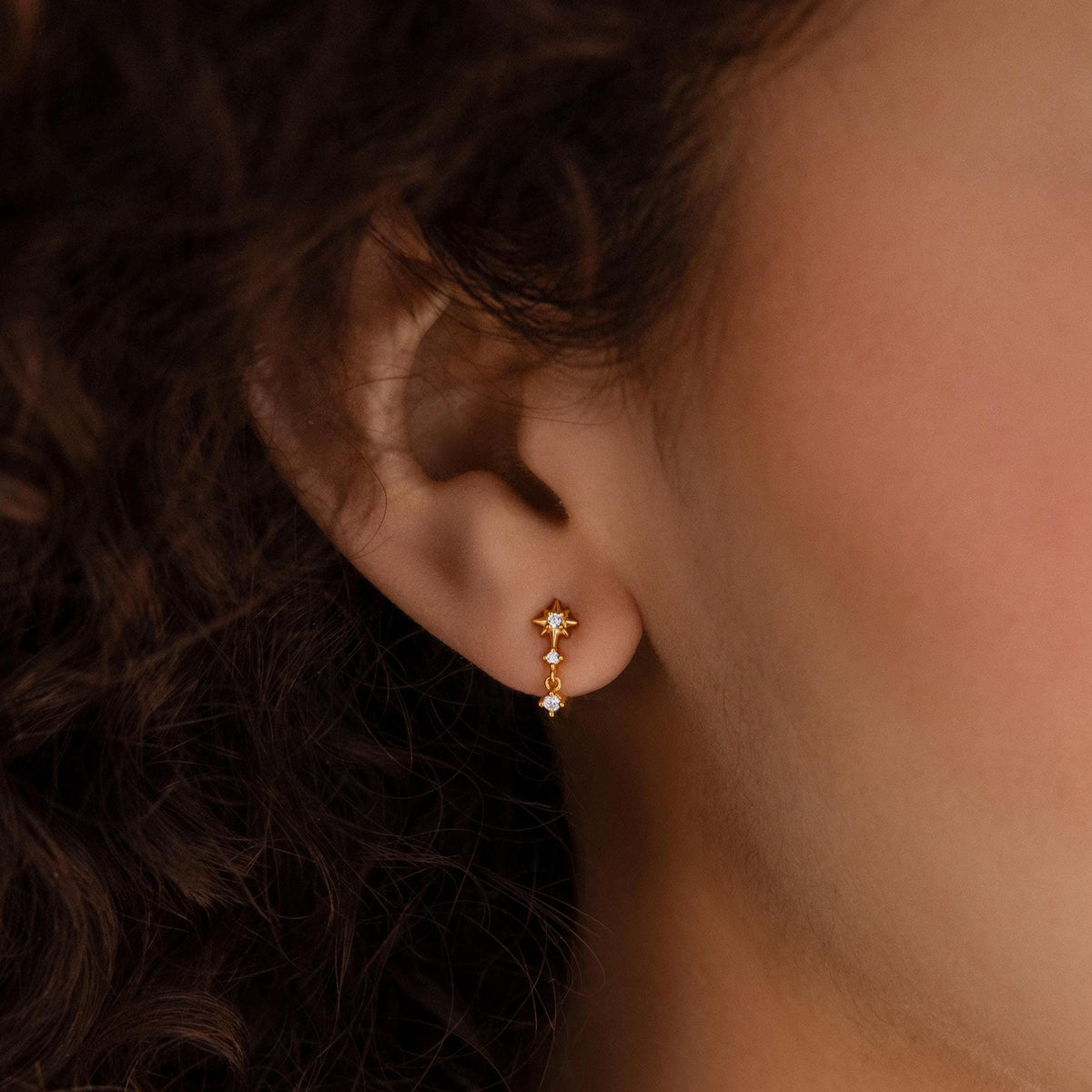 Brincos com Diamante estelar