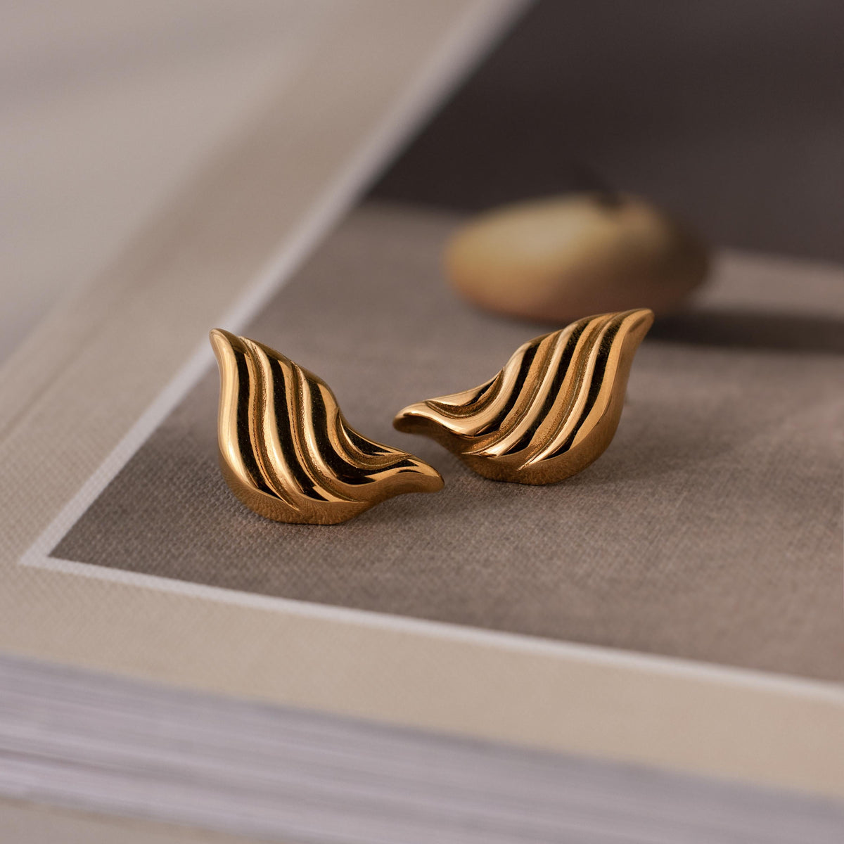 Brincos Bold Wing