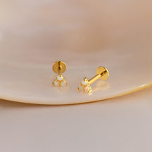 Tachas Cluster de Opala